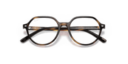 Clear Lenses, Polished Havana Frame