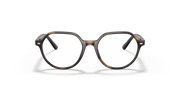 Clear Lenses, Polished Havana Frame