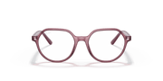 Clear Lenses, Polished Transparent Pink Frame