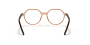 Clear Lenses, Polished Transparent Brown Frame