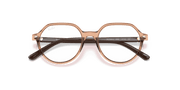 Clear Lenses, Polished Transparent Brown Frame