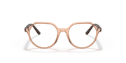 Clear Lenses, Polished Transparent Brown Frame