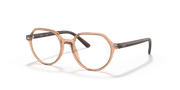 Clear Lenses, Polished Transparent Brown Frame