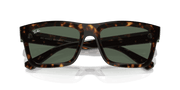 Dark Blue Lenses, Polished Havana Frame