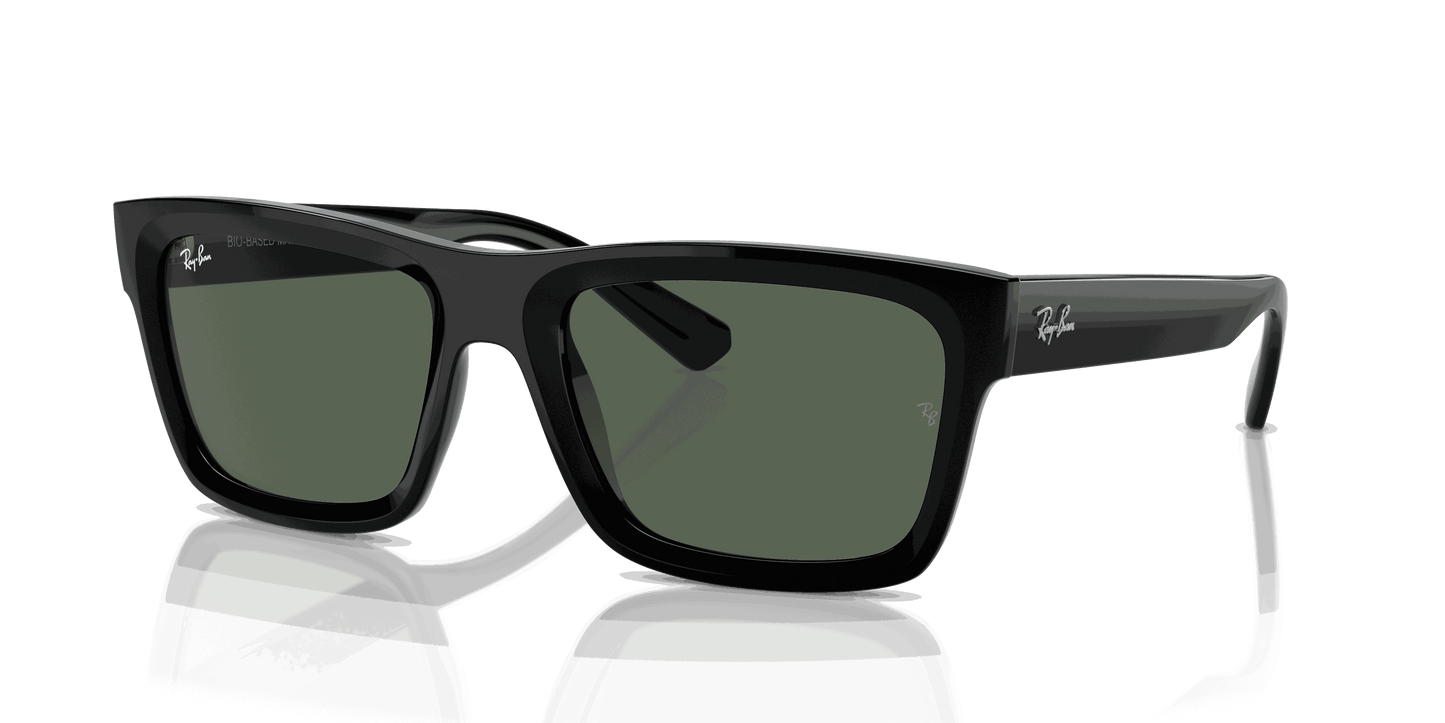 [Dark Green Lenses, Polished Black Frame]