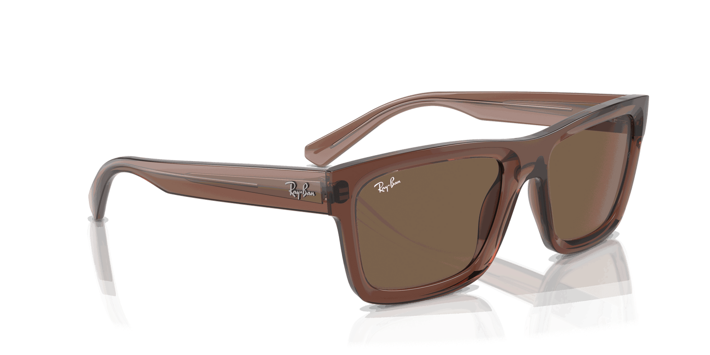 [Dark Brown Lenses, Polished Transparent Brown Frame]