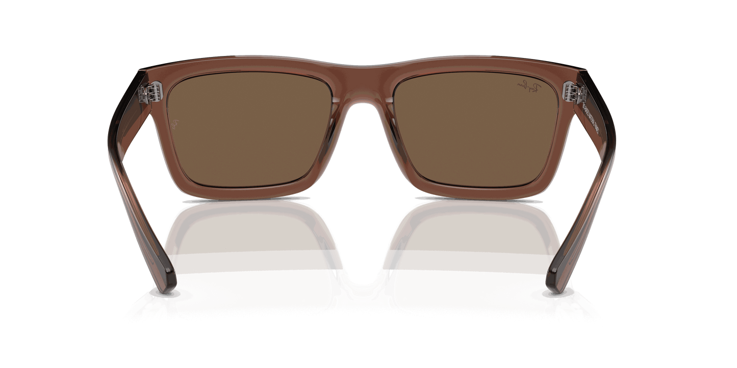 [Dark Brown Lenses, Polished Transparent Brown Frame]