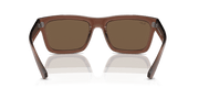 Dark Brown Lenses, Polished Transparent Brown Frame