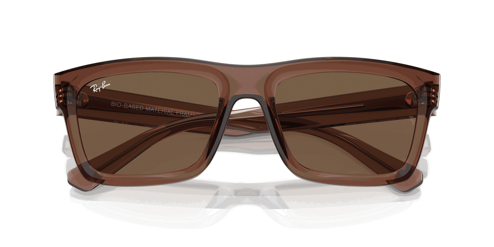 [Dark Brown Lenses, Polished Transparent Brown Frame]