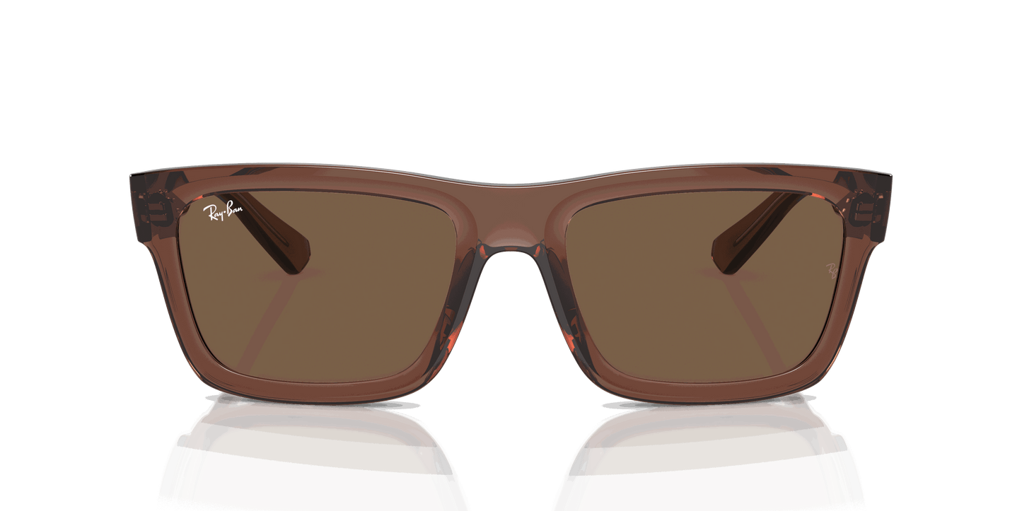 [Dark Brown Lenses, Polished Transparent Brown Frame]