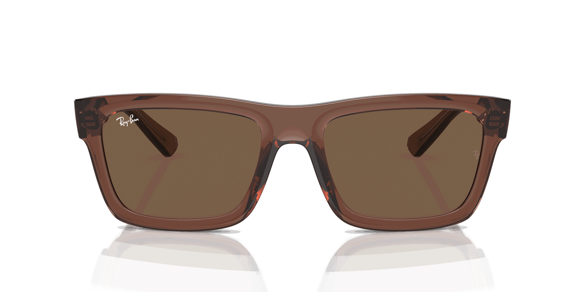 [Dark Brown Lenses, Polished Transparent Brown Frame]