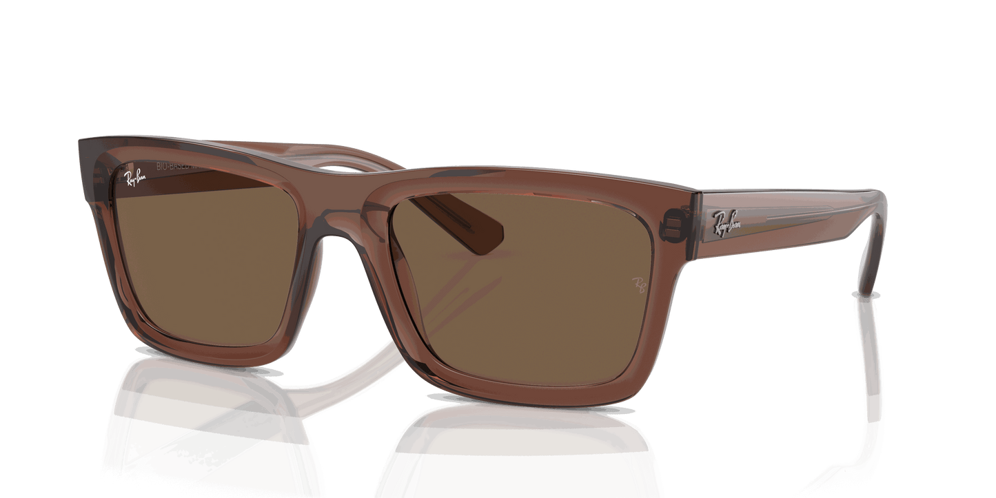 [Dark Brown Lenses, Polished Transparent Brown Frame]