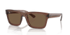 [Dark Brown Lenses, Polished Transparent Brown Frame]