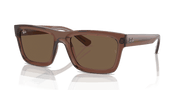 Dark Brown Lenses, Polished Transparent Brown Frame