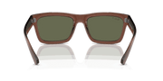 Dark Green Lenses, Polished Transparent Brown Frame