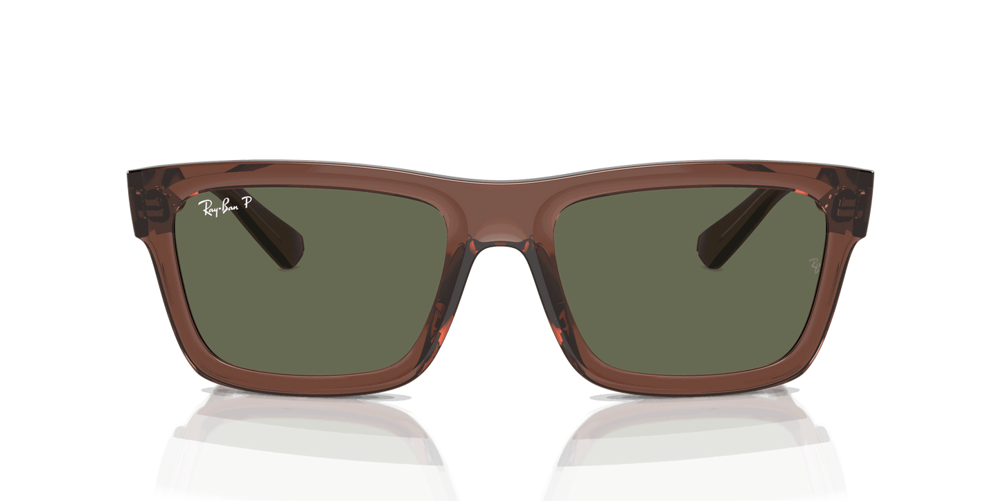[Dark Green Lenses, Polished Transparent Brown Frame]