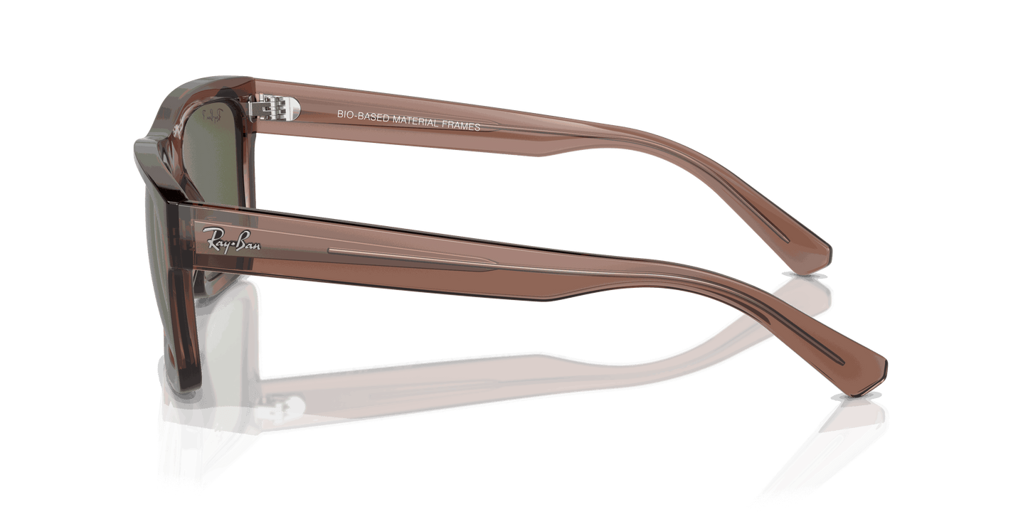 [Dark Green Lenses, Polished Transparent Brown Frame]