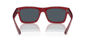 Dark Grey Lenses, Polished Transparent Red Frame