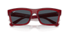 [Dark Grey Lenses, Polished Transparent Red Frame]