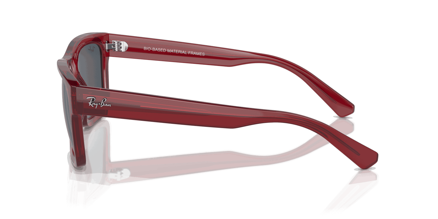 [Dark Grey Lenses, Polished Transparent Red Frame]