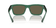 Brown Lenses, Polished Transparent Green Frame