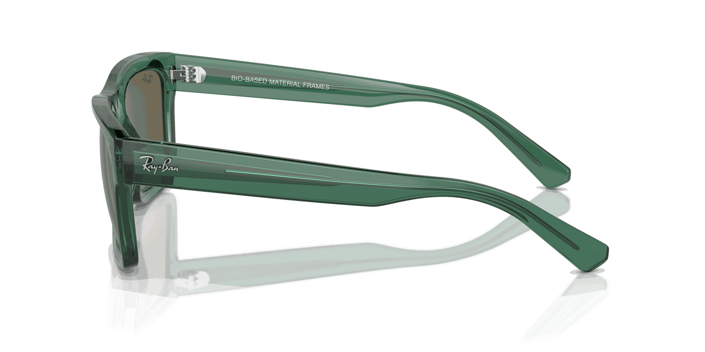 [Brown Lenses, Polished Transparent Green Frame]