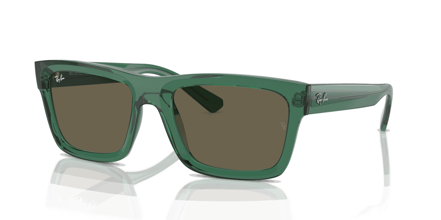 [Brown Lenses, Polished Transparent Green Frame]