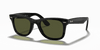 [G-15 Green Lenses, Polished Black Frame]