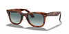 [Blue Gradient Lenses, Polished Red Havana Frame]