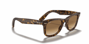 Light Brown Gradient Lenses, Polished Light Havana Frame