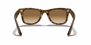 Light Brown Gradient Lenses, Polished Light Havana Frame