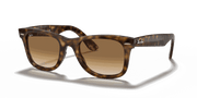 Light Brown Gradient Lenses, Polished Light Havana Frame