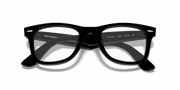 Clear Lenses, Polished Black Frame