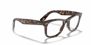 Clear Lenses, Polished Havana Frame