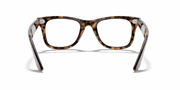 Clear Lenses, Polished Havana Frame