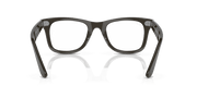 Clear Lenses, Polished Transparent Olive Green Frame