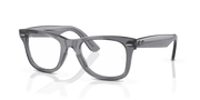 Clear Lenses, Polished Transparent Grey Frame