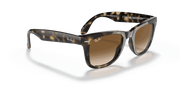 Light Brown Gradient Lenses, Polished Light Havana Frame