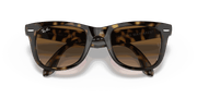 Light Brown Gradient Lenses, Polished Light Havana Frame