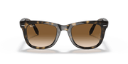 Light Brown Gradient Lenses, Polished Light Havana Frame