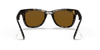 [B-15 Brown Lenses, Polished Light Havana Frame]