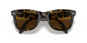 B-15 Brown Lenses, Polished Light Havana Frame