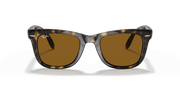 B-15 Brown Lenses, Polished Light Havana Frame