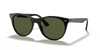 [G-15 Green Lenses, Polished Black Frame]