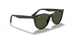 [G-15 Green Lenses, Polished Tortoise Frame]