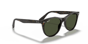 G-15 Green Lenses, Polished Tortoise Frame