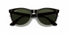 [G-15 Green Lenses, Polished Tortoise Frame]