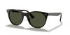 [G-15 Green Lenses, Polished Tortoise Frame]