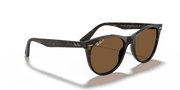 B-15 Brown Lenses, Polished Spotted Havana Frame