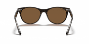 B-15 Brown Lenses, Polished Spotted Havana Frame